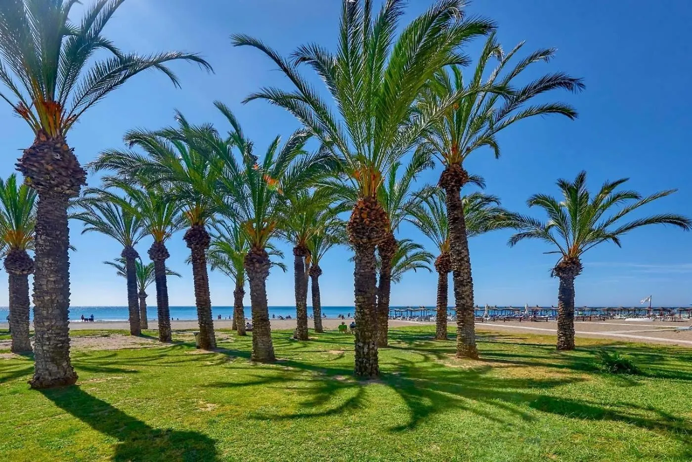 Tess Playamar Beach Liszt Torremolinos 0*,